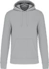 snow_grey
