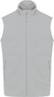 snow_grey