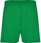 vert_fougere