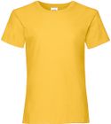 tournesol