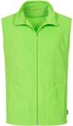 kiwi_green