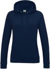 new_french_navy