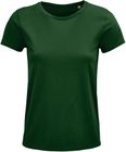 vert_bouteille