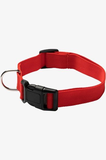 Image produit Korat collare regolabile an1021