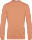 melon_orange