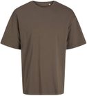 falcon_brown