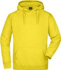 sun_yellow