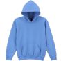 Image produit BLEND YOUTH HOODED SWEATSHIRT 18500B 18500b