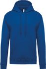 light_royal_blue