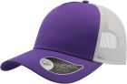 purple/white