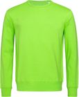 kiwi_green