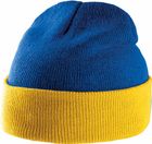 royal_blue/yellow