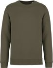 organic_khaki