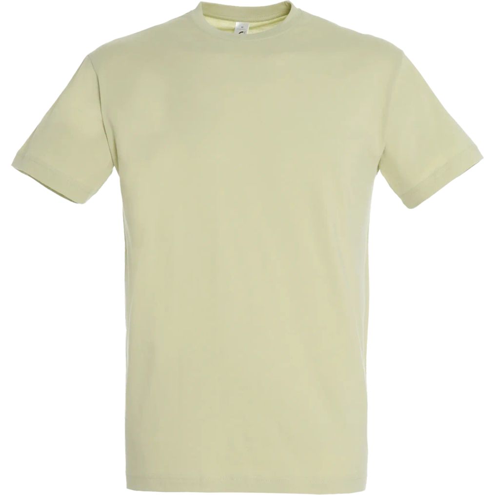 Image produit Regent Tee shirt coton uni 11380
