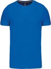 light_royal_blue