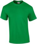 vert irlande