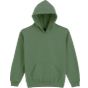 Image produit Softstyle hoodie fleece sweat capuche enfant sf500b