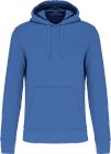 light_royal_blue