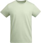 vert_mist