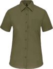 light_khaki