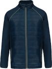navy/silver