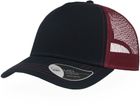 navy/burgundy