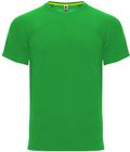 vert_fougere