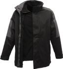 black/seal_grey