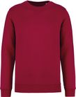 hibiscus_red