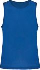 sporty_royal_blue