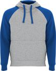 gris_chine/bleu_royal