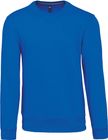 light_royal_blue