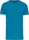 tropical_blue