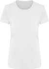 arctic_white