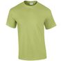 Image produit T-Shirt Ultra Cotton 2000
