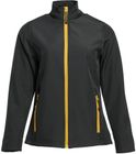 black/gold
