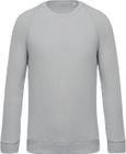 snow_grey