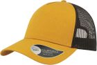 mustard/black