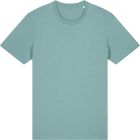 teal_monstera