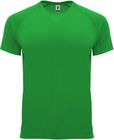 vert_fougere