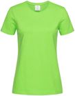 kiwi_green