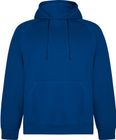 bleu_royal