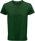 vert_bouteille