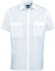 light_blue