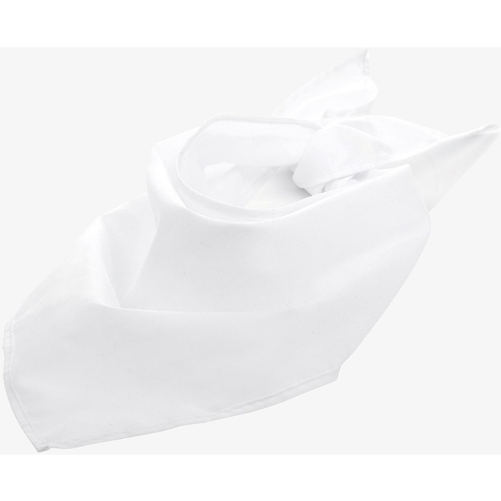 Image produit Scarf Neck Bandana 01198