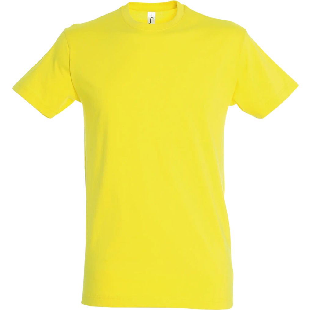 Image produit Regent Tee shirt coton uni 11380