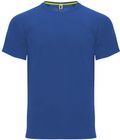 bleu_royal