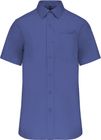 cobalt_blue