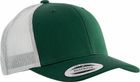 forest_green/light_grey