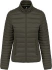 dark_khaki
